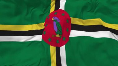 Dominica Flag Seamless Looping Background, Looped Bump Texture Cloth Waving Slow Motion, 3D Rendering