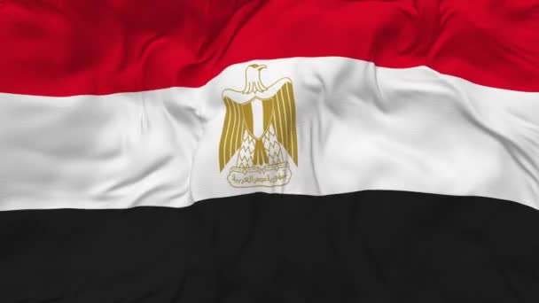 Egypt Flag Seamless Looping Background Looped Bump Texture Cloth Waving — Vídeo de Stock