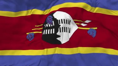 Eswatini Bayraksız Döngü Arkaplanı, Döngülü Çarpışan Doku Kumaşı Yavaş Hareket, 3B Görüntüleme