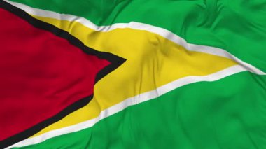 Guyana Bayrağı Kusursuz Döngü Arkaplanı, Devrilmiş Kabarık Doku Kumaşı Sallama Yavaş Hareketi, Üç Boyutlu Hazırlama