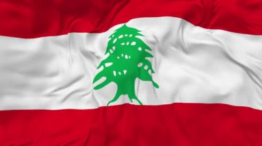 Lübnan Bayraksız Döngü Arkaplanı, Döngülü Çarpışan Doku Kumaşı Yavaş Hareket, 3B Görüntüleme