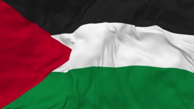 Filistin Bayraksız Döngü Arkaplanı, Kabarık Doku Kumaşı Yavaş Hareket, 3 Boyutlu Hazırlama