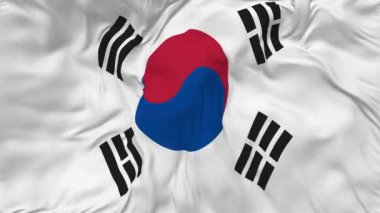 Güney Kore Bayrağı Kusursuz Döngü Arkaplanı, Döngülü Kabarık Doku Kumaşı Yavaş Hareket, 3 Boyutlu Hazırlama