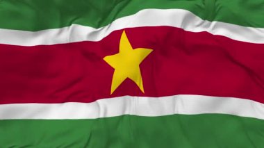 Surinam Bayrak Kusursuz Döngü Arkaplanı, Döngülü Çarpışan Doku Kumaşı Yavaş Hareket, 3B Görüntüleme