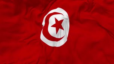 Tunus Bayrağı Kusursuz Döngü Arkaplanı, Devrilmiş Kabarık Doku Kumaşı Yavaş Hareket, 3B Görüntüleme