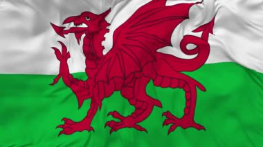 Galler Bayraksız Döngüleme Arkaplanı, Döngülü Çarpışan Doku Kumaşı Yavaş Hareket, 3B Hazırlama