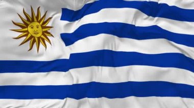 Uruguay Bayraksız Döngü Arkaplanı, Döngülü Çarpışan Doku Kumaşı Yavaş Hareket, 3B Görüntüleme