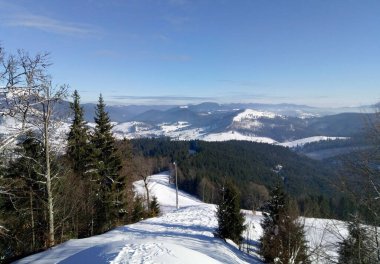 Kar manzarası, kış doğası, dağlar, Karpatlar, Bukovel, Ukrayna