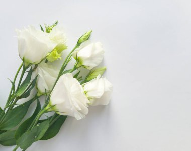 Beyaz arka planda bir buket beyaz Eustoma çiçeği.