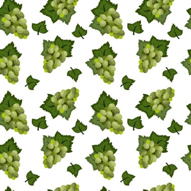 Dikensiz üzüm dalı deseni. Vektör illüstrasyonu