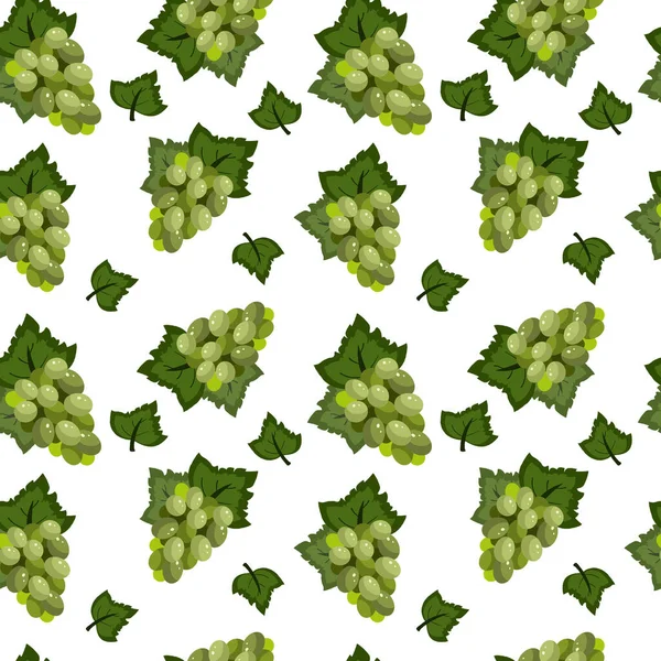 Dikensiz üzüm dalı deseni. Vektör illüstrasyonu