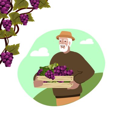 Elinde üzümlü tahta bir kutu tutan bir adam. Şarap hasat ikonu. Üzüm bağında kırmızı üzüm dalı olan çerçeve. Beyaz arka planda düz tasarım. Vektör illüstrasyonu. 