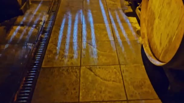 Gyönyörű Megvilágítás Egy Folyosón Halmozott Hordók Mindkét Oldalán Egy Borospincében — Stock videók