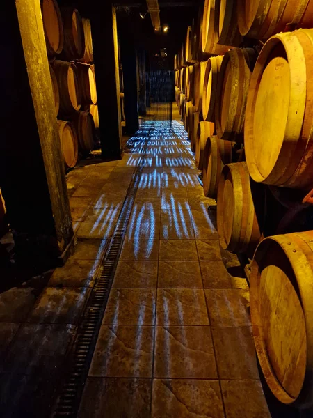 Old Cellar Illuminated Stacked Oak Barrels Winery Greece — Stock Photo, Image