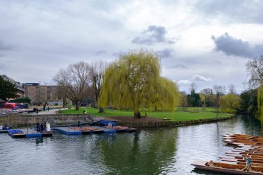 Cambridge, İngiltere 'deki nehir kamerası nehir kıyısında demirli teknelerle.