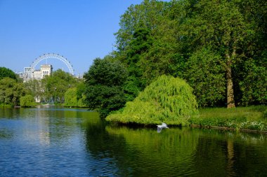 Parkta çok güzel bir yaz havası ve gölde Londra 'nın gözü var. St Jame 's Park, Londra, İngiltere.