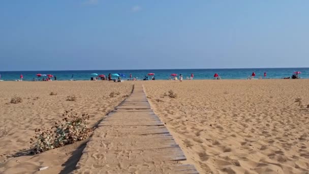Playa Oro Playa Tortugas Karpasia Isla Chipre Cerca Del Monasterio — Vídeo de stock
