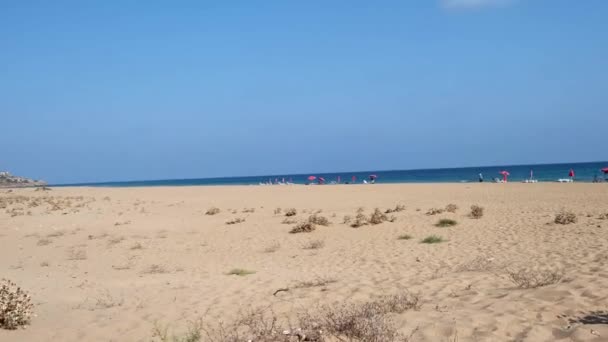 Playa Oro Playa Tortugas Karpasia Isla Chipre Cerca Del Monasterio — Vídeos de Stock