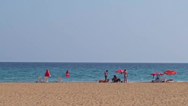 Playa Oro Playa Tortugas Karpasia Isla Chipre Cerca Del Monasterio — Vídeo de stock