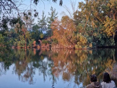 Two girls rest on a wooden bench and enjoy the lake view at Athalassa National Park in Nicosia, Cyprus