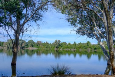 Beautiful lake and surrounding trees at Athalassa National Park in Nicosia in Cyprus.