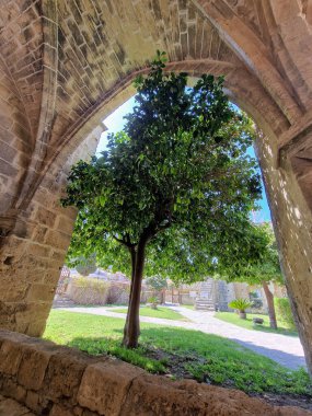 Kıbrıs adası Kyrenia yakınlarındaki Bellapais Manastırı