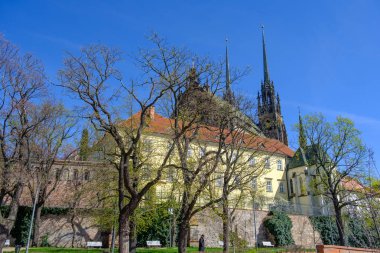 Çek Cumhuriyeti 'nin Brno kentindeki klasik binaların arkasındaki Aziz Peter ve Paul Katedrali.