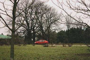 Ağaçların arasına park edilmiş bir araba.
