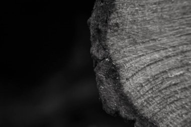 bir ağaç gövdesinin siyah beyaz fotoğrafı