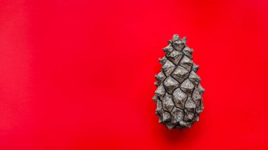 Kırmızı arka planda kırmızı bir ananas konisi