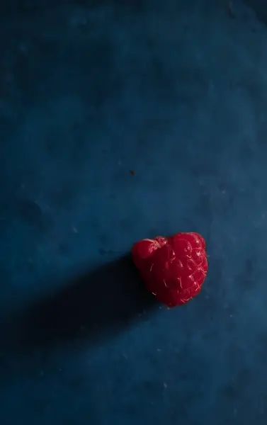 Ormandaki pembe kedi