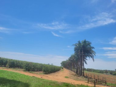 Doğanın güzel manzarası