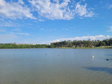 Güzel göl manzarası