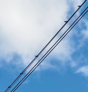 yüksek voltajlı elektrik hatları ve mavi gökyüzü