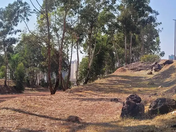 Parkın güzel manzarası
