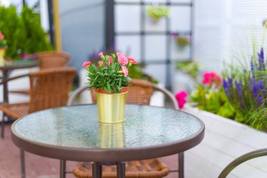Kafe 'de mobilyalar, masa ve çiçek buketli sandalye..