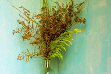 Cam vazodaki kurumuş çiçek dallarını kapatın..