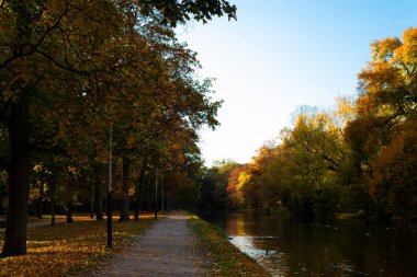 Bydgoszcz Kanalı 'ndaki bitki. Sonbaharda Bydgoszcz Kanalı manzarası.