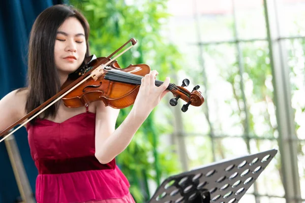 Mujer Violinista Retrato Una Joven Mujer Tocando Violín Imagen De Stock