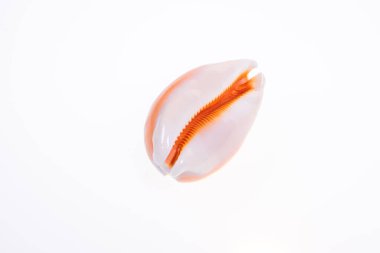 Khao Laem Ya 'da rıhtım - Mu Ko Samet Ulusal Parkı, Rayong Eyaleti, Doğu Tayland.