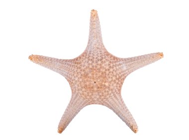 Khao Laem Ya 'da rıhtım - Mu Ko Samet Ulusal Parkı, Rayong Eyaleti, Doğu Tayland.