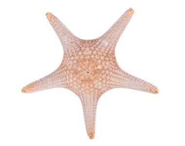 Khao Laem Ya 'da rıhtım - Mu Ko Samet Ulusal Parkı, Rayong Eyaleti, Doğu Tayland.