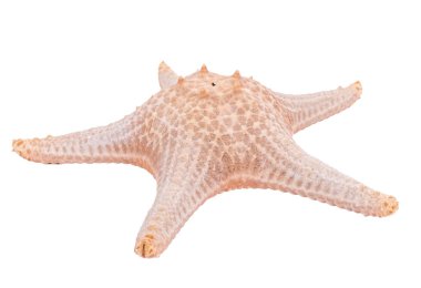 Khao Laem Ya 'da rıhtım - Mu Ko Samet Ulusal Parkı, Rayong Eyaleti, Doğu Tayland.