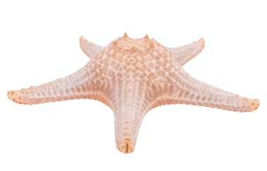 Khao Laem Ya 'da rıhtım - Mu Ko Samet Ulusal Parkı, Rayong Eyaleti, Doğu Tayland.