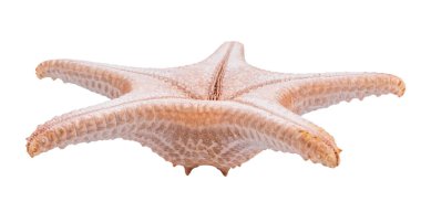 Khao Laem Ya 'da rıhtım - Mu Ko Samet Ulusal Parkı, Rayong Eyaleti, Doğu Tayland.