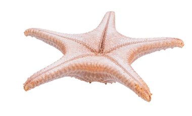 Khao Laem Ya 'da rıhtım - Mu Ko Samet Ulusal Parkı, Rayong Eyaleti, Doğu Tayland.