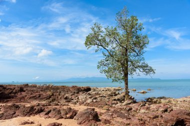 Khao Laem Ya 'da rıhtım - Mu Ko Samet Ulusal Parkı, Rayong Eyaleti, Doğu Tayland.