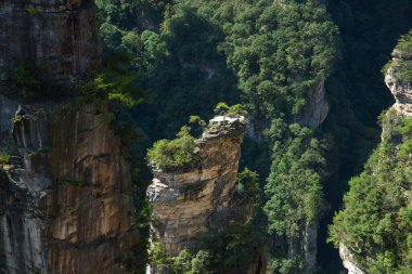 Zhangjiajie Ulusal Orman Parkı 'ndaki (Wulingyuan) Tianzi Dağları' nın (Avatar Dağları) doğal kuvars sütunlarının muhteşem manzarası, Hunan Eyaleti, Çin. Muhteşem bir manzara. Bu ulusal park Avatar filminin ilham kaynağıydı..