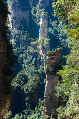 Zhangjiajie Ulusal Orman Parkı 'ndaki (Wulingyuan) Tianzi Dağları' nın (Avatar Dağları) doğal kuvars sütunlarının muhteşem manzarası, Hunan Eyaleti, Çin. Muhteşem bir manzara. Bu ulusal park Avatar filminin ilham kaynağıydı..
