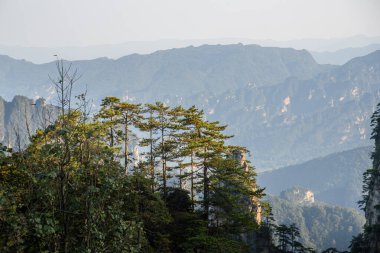 Avatar Dağları manzarası, Zhangjiajie Ulusal Orman Parkı, Çin. Bu ulusal park Avatar filminin ilham kaynağıydı..